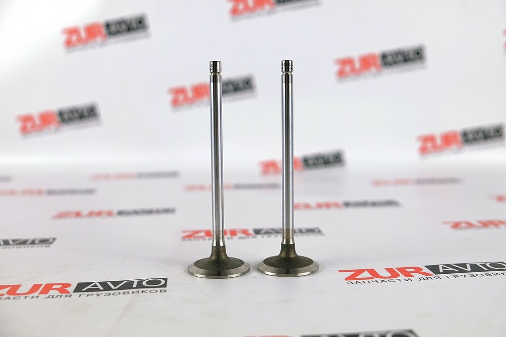 Клапан впускной ГБЦ ISF2.8 (АНАЛОГ) (C) (5308264) 5261320